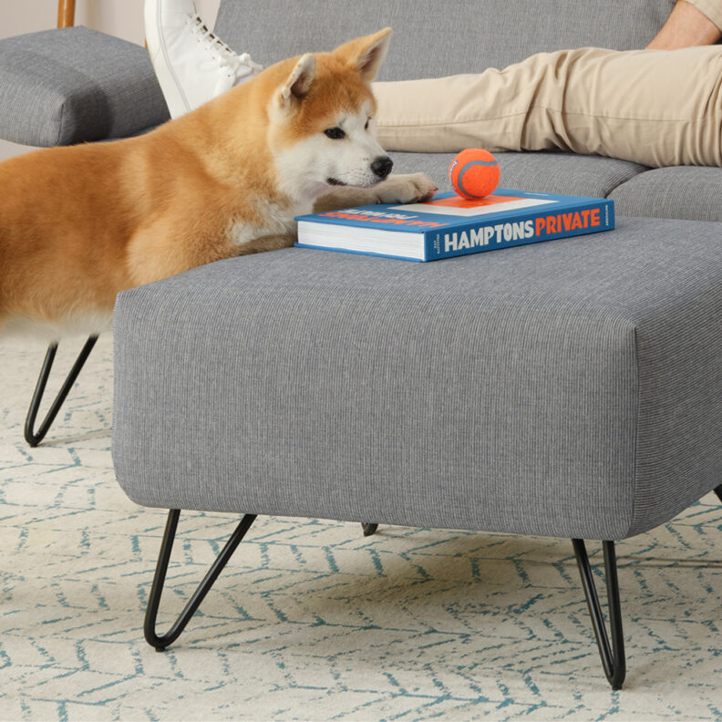 COSY2_BB_PDP Bildergallerie13